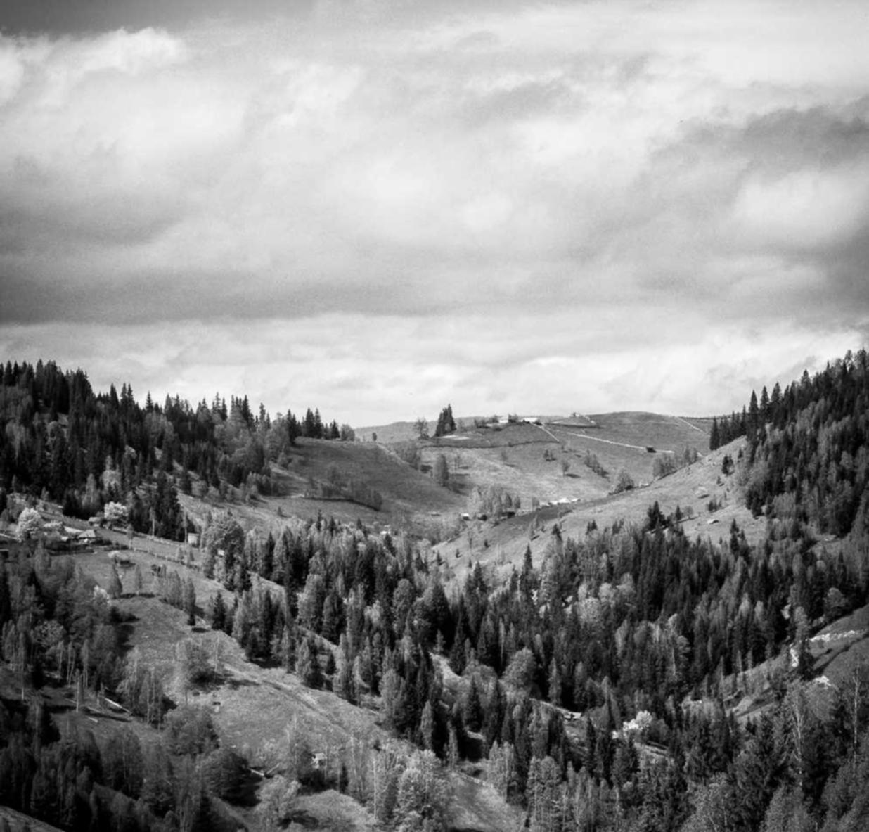 认清风险，拒绝参与网络攻击购买行为！