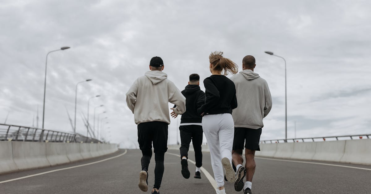 梦之城N8软件详情下载教程app