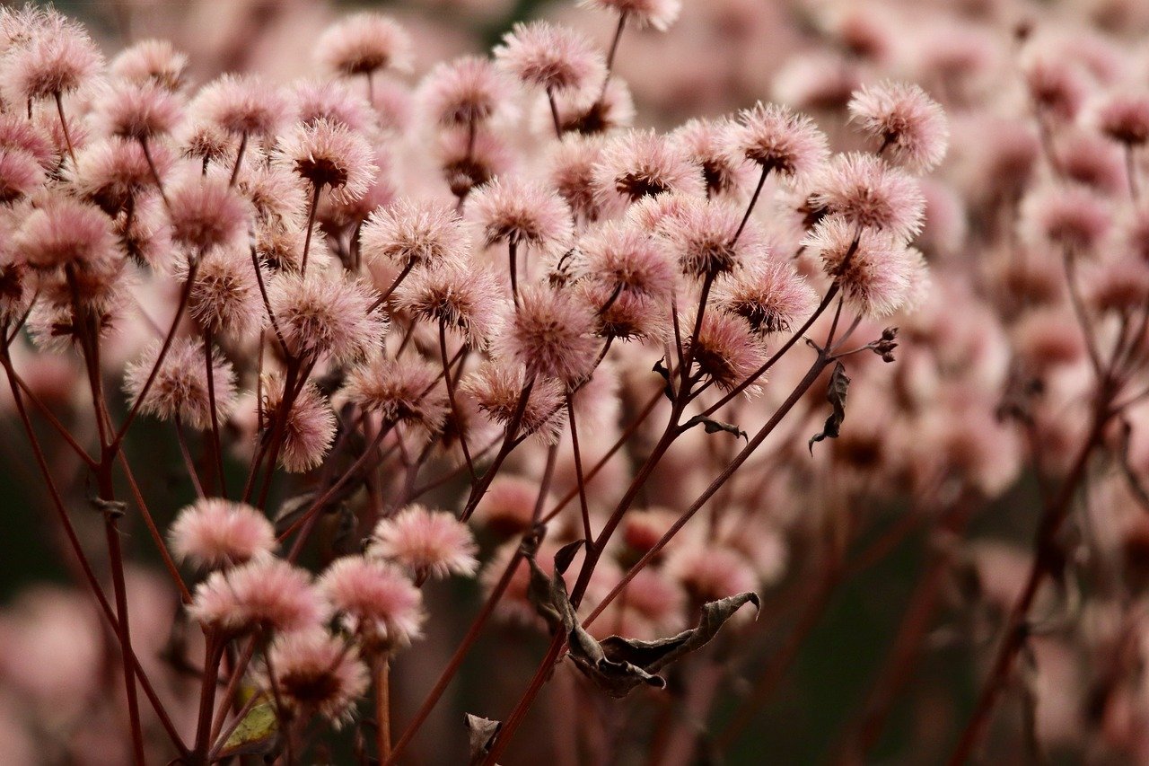 摩登4重庆农商行app详情下载教程