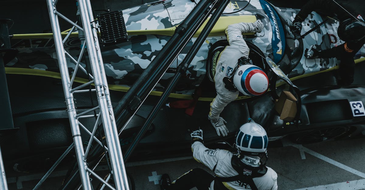 新宝5北美植物购买平台