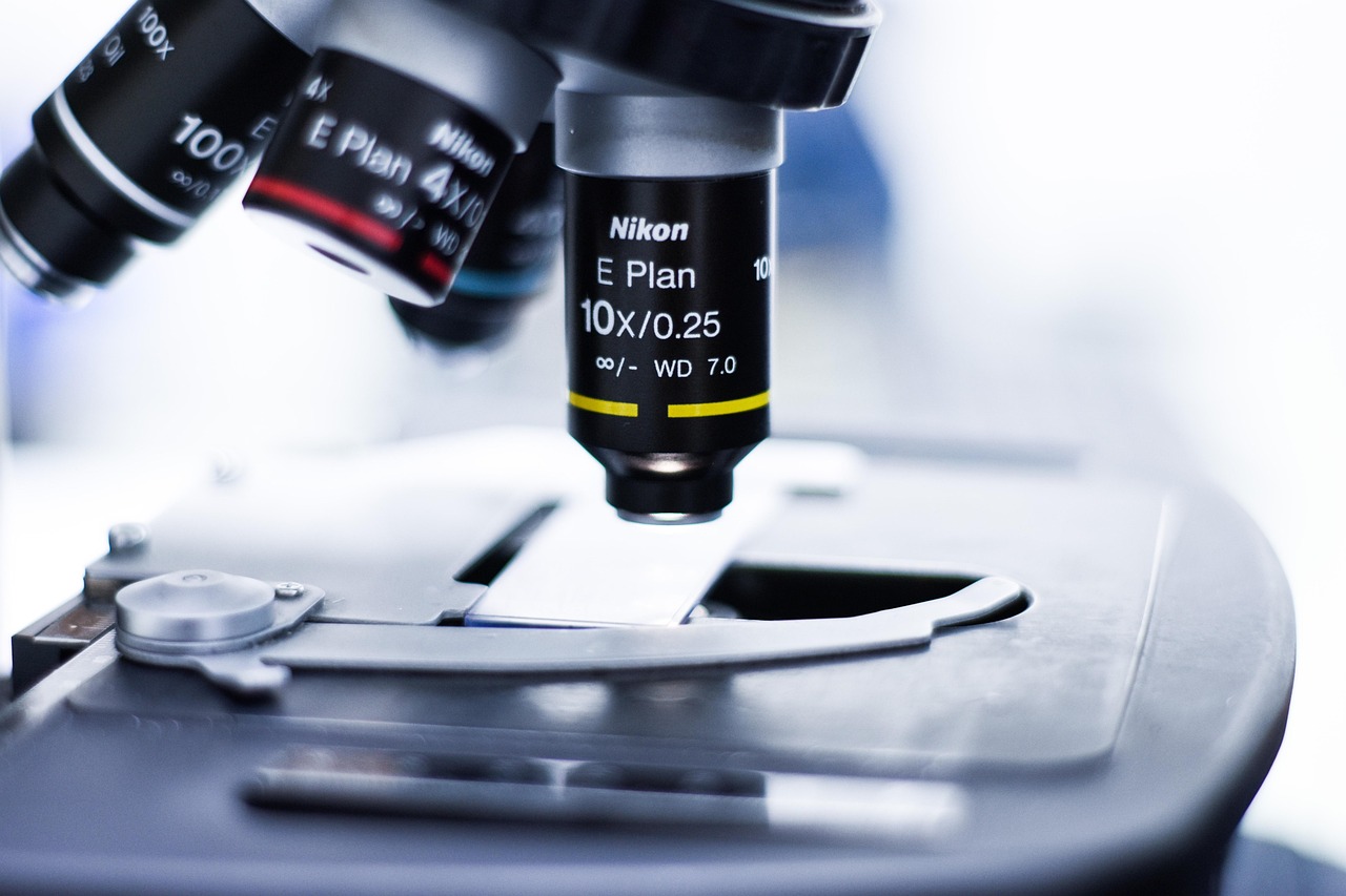 理解SEO中的搜索引擎爬行