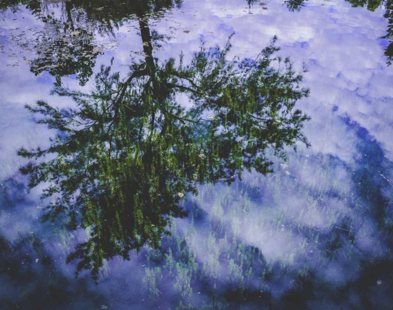 AG亚游花生教育app详情下载教程