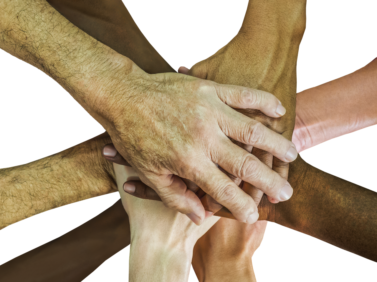 七喜联盟个税年度汇算手机app详情下载教程